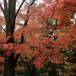 Gion Morisyo